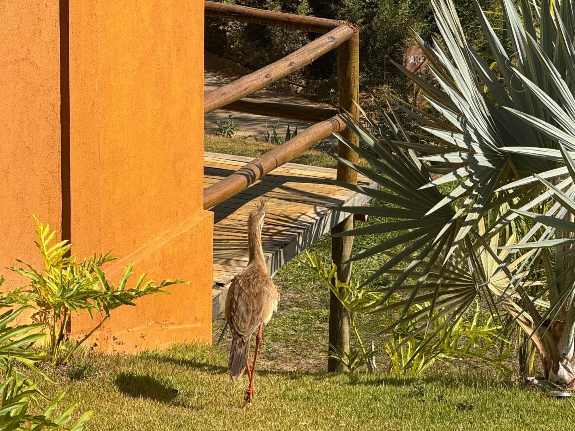 Pousada Guardia Da Canastra Vargem Bonita Εξωτερικό φωτογραφία